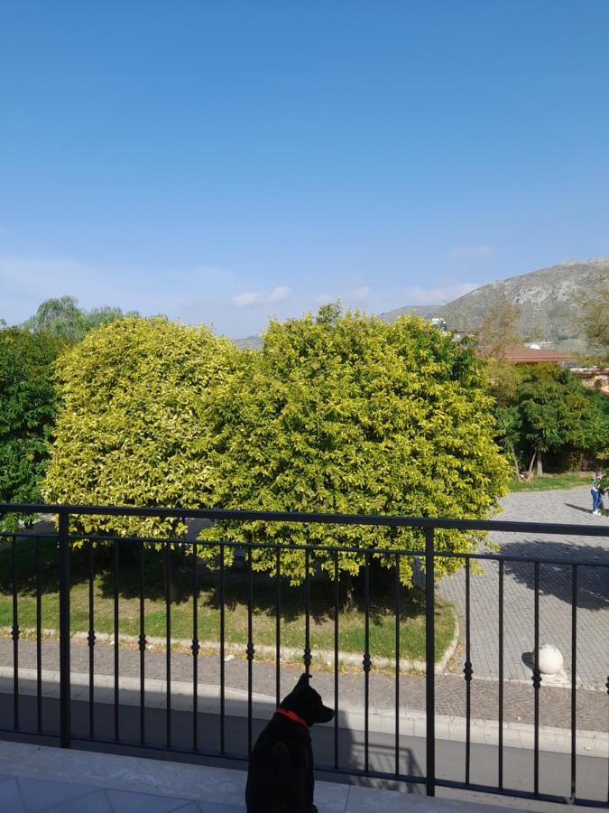 A Casa Di Falco Mondragone Εξωτερικό φωτογραφία
